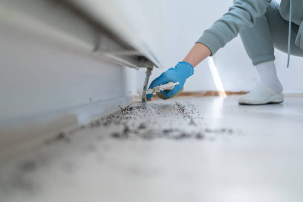 Best Bed Bug Extermination  in Madison, AL